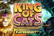 King Of Cats